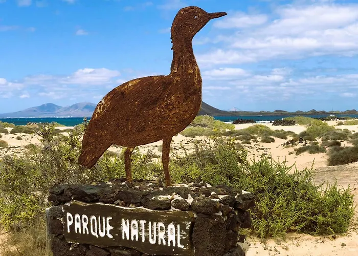 Blue Velvet By Sea There Fuerteventura *