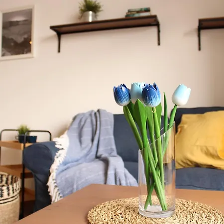 Blue Velvet By Sea There Fuerteventura Appartement Corralejo