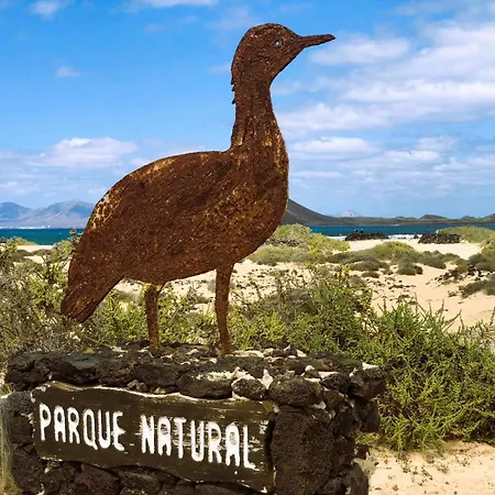 Blue Velvet By Sea There Fuerteventura *