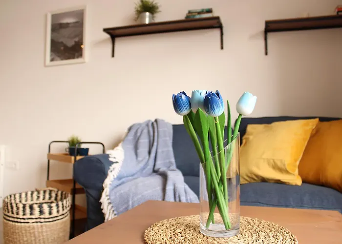 Blue Velvet By Sea There Fuerteventura アパート コラレホ